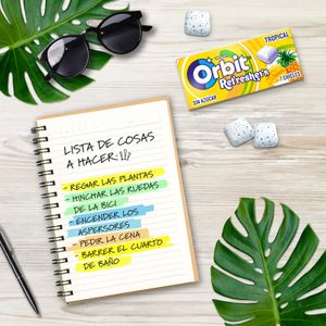 Chicle Grageado Sabor Tropical Refresher