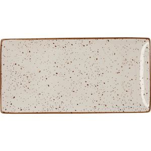 Fuente Rectangular 30,5c BIDASOA