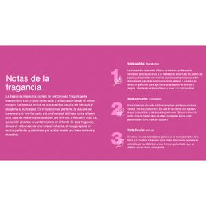 Segona imatge del producte Colònia Masculina Núm. 64 de la marca CARAVAN