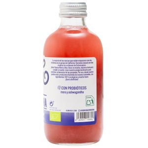 Kombucha Superflow Bebida orgánica