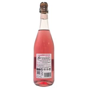 Vino Rosado Lambrusco Dell'Emilia