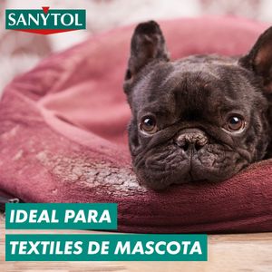 Quitamanchas Desinfectante