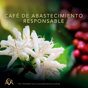 Quinta imagen del producto Café Espresso Colombia 50 Cápsulas de la marca L'OR