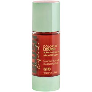 Colorete Liquido 02 Coral