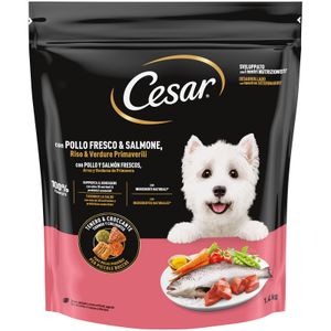 Comida Seca Perros Mini pollo y salmón
