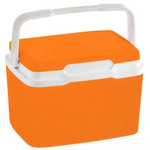 Nevera Naranja 5L