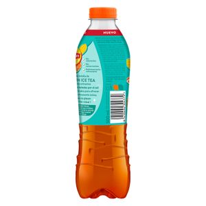 Bebida Te Naranja-Mang Pet