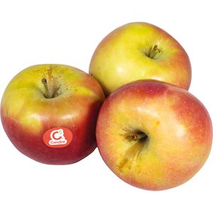 Manzana Candine
